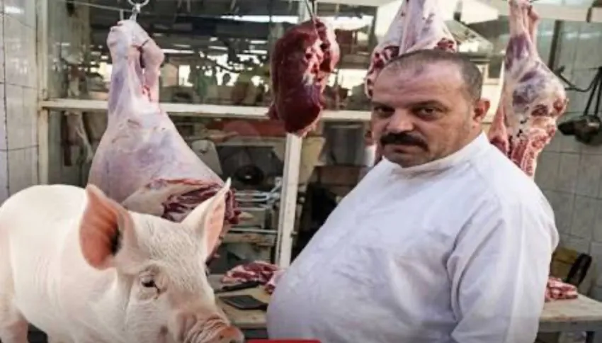 إحالة بائع لحوم الخنازير في النجف إلى محكمة الجنايات