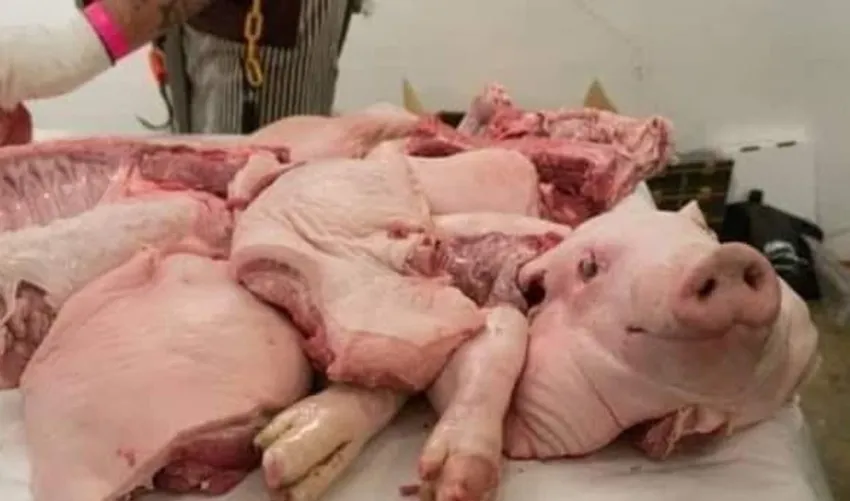 صحة ذي قار توضح حقيقة وجود لحوم خنزير في أحد مطاعم الناصرية